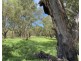 8648 Lachlan Valley Way, Condobolin NSW 2877