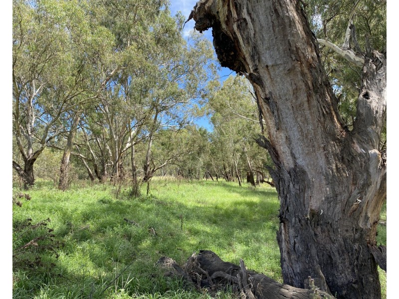 8648 Lachlan Valley Way, Condobolin NSW 2877