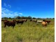 * Croydon, Avondale and Part Springfield, Tottenham NSW 2873