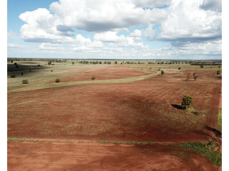 * Croydon, Avondale and Part Springfield, Tottenham NSW 2873