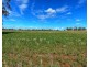 * Croydon, Avondale and Part Springfield, Tottenham NSW 2873