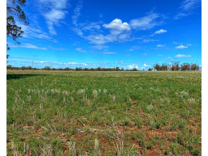 * Croydon, Avondale and Part Springfield, Tottenham NSW 2873