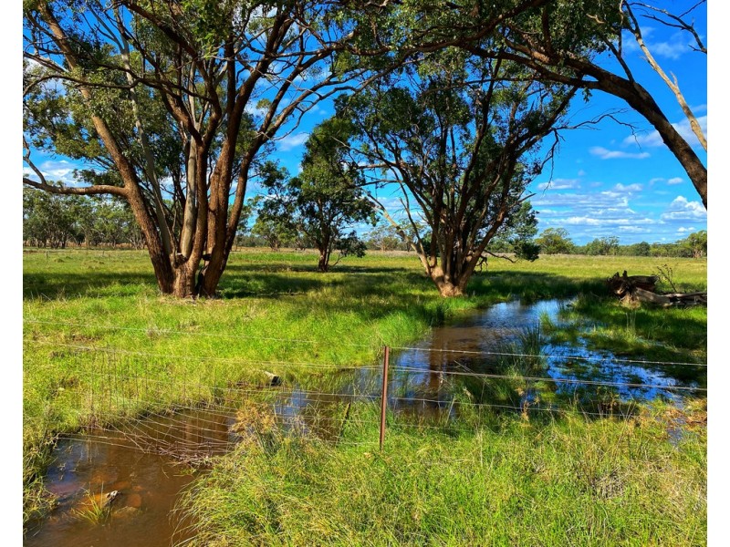 * Croydon, Avondale and Part Springfield, Tottenham NSW 2873