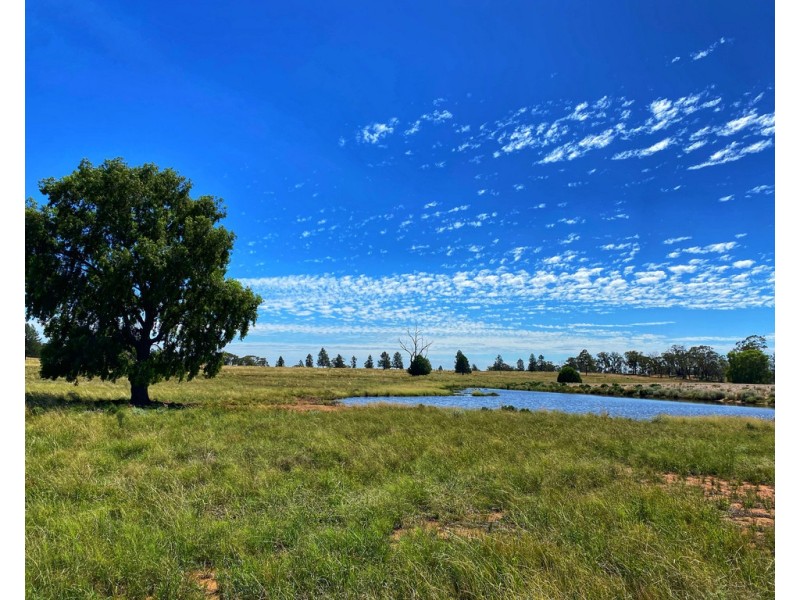 * Croydon, Avondale and Part Springfield, Tottenham NSW 2873