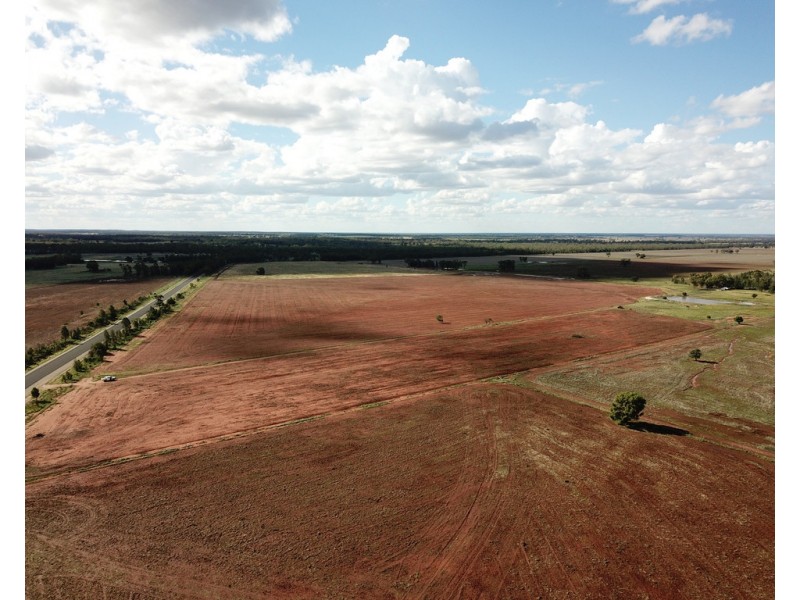 * Croydon, Avondale and Part Springfield, Tottenham NSW 2873