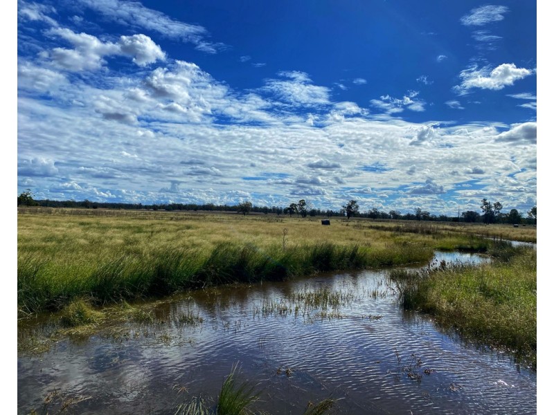 * Croydon, Avondale and Part Springfield, Tottenham NSW 2873