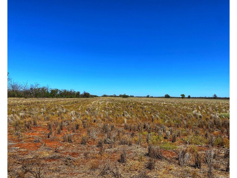 * Croydon, Avondale and Part Springfield, Tottenham NSW 2873