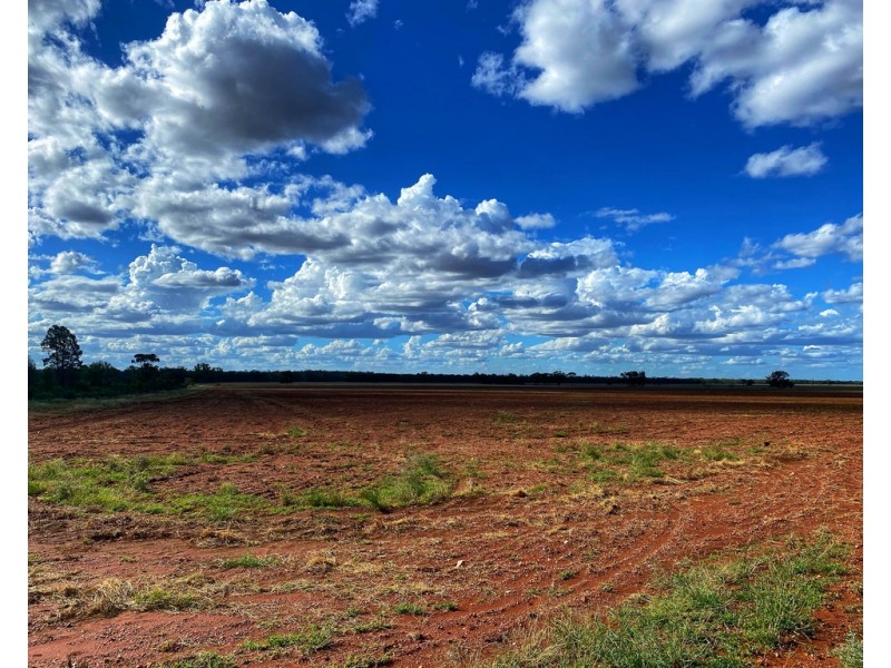 * Croydon, Avondale and Part Springfield, Tottenham NSW 2873
