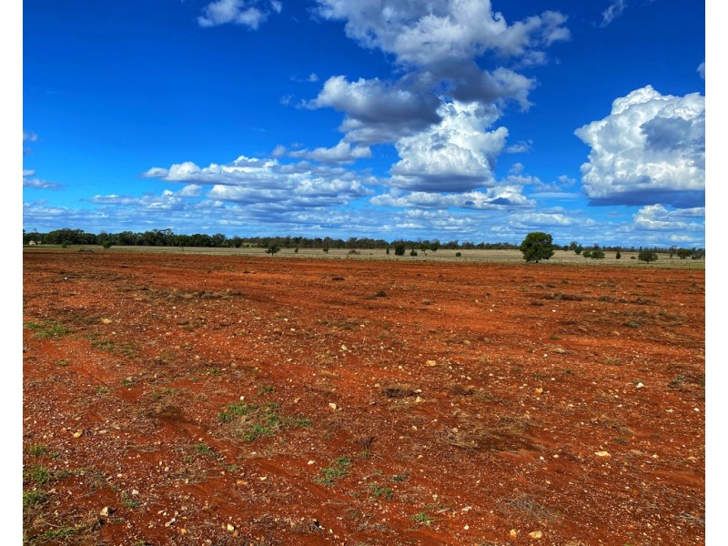 * Croydon, Avondale and Part Springfield, Tottenham NSW 2873