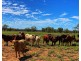 * Croydon, Avondale and Part Springfield, Tottenham NSW 2873