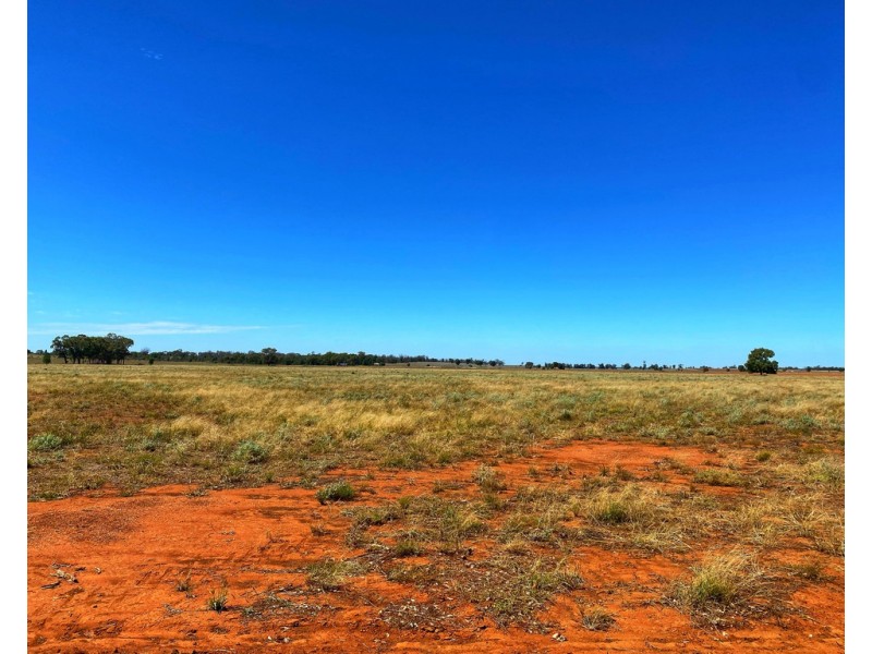 * Croydon, Avondale and Part Springfield, Tottenham NSW 2873