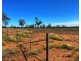 * Croydon, Avondale and Part Springfield, Tottenham NSW 2873