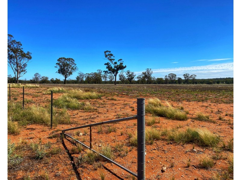 * Croydon, Avondale and Part Springfield, Tottenham NSW 2873