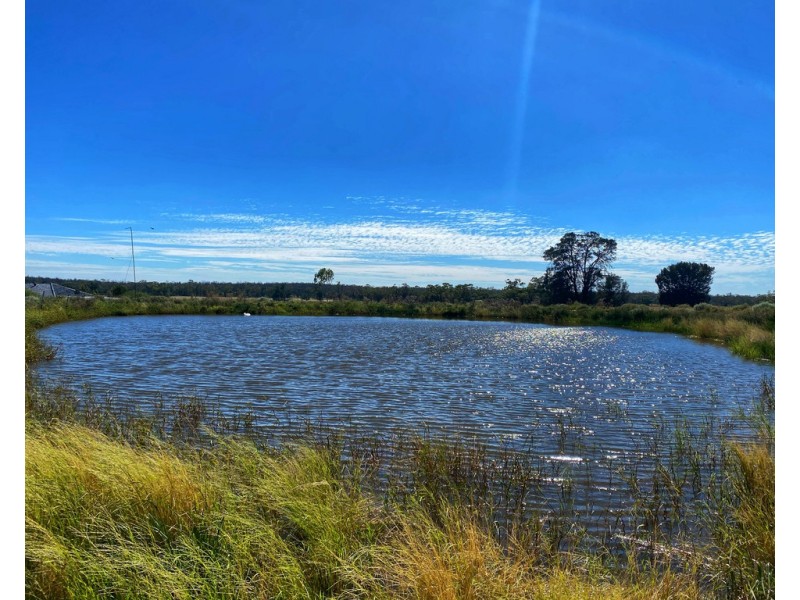 * Croydon, Avondale and Part Springfield, Tottenham NSW 2873