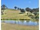 794 Reedy Creek Road ‘Oaklands’, Mandagery NSW 2870