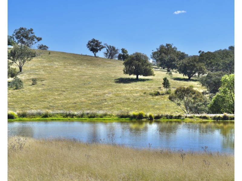 794 Reedy Creek Road ‘Oaklands’, Mandagery NSW 2870