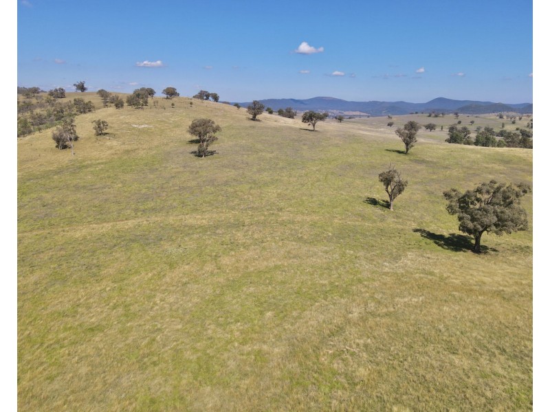 794 Reedy Creek Road ‘Oaklands’, Mandagery NSW 2870
