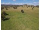 794 Reedy Creek Road ‘Oaklands’, Mandagery NSW 2870