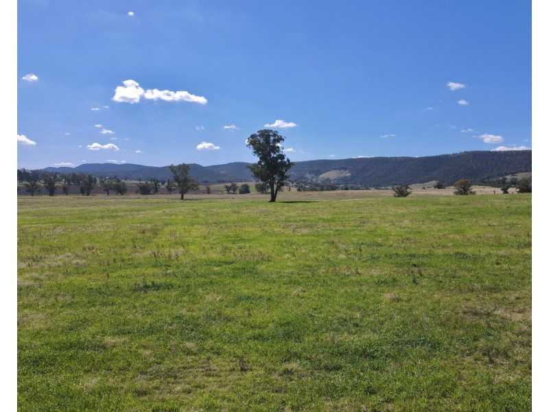 794 Reedy Creek Road ‘Oaklands’, Mandagery NSW 2870