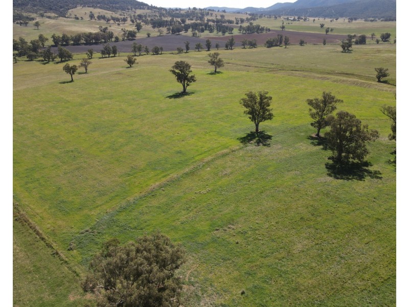 794 Reedy Creek Road ‘Oaklands’, Mandagery NSW 2870