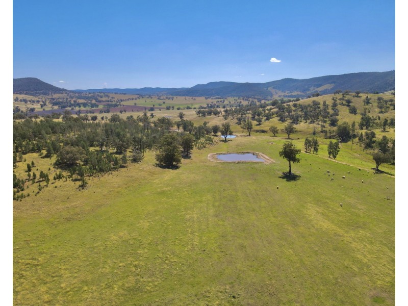 794 Reedy Creek Road ‘Oaklands’, Mandagery NSW 2870