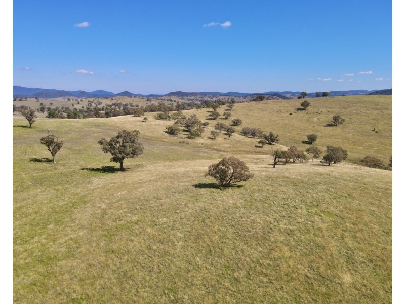 794 Reedy Creek Road ‘Oaklands’, Mandagery NSW 2870