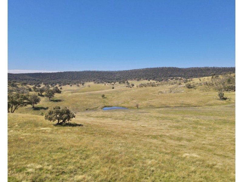 794 Reedy Creek Road ‘Oaklands’, Mandagery NSW 2870