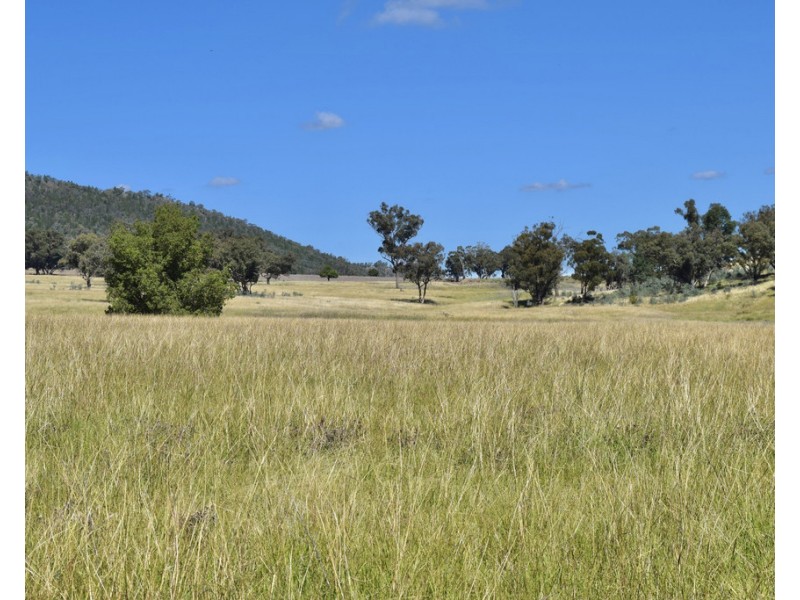 794 Reedy Creek Road ‘Oaklands’, Mandagery NSW 2870