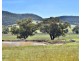 794 Reedy Creek Road ‘Oaklands’, Mandagery NSW 2870