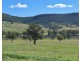 794 Reedy Creek Road ‘Oaklands’, Mandagery NSW 2870