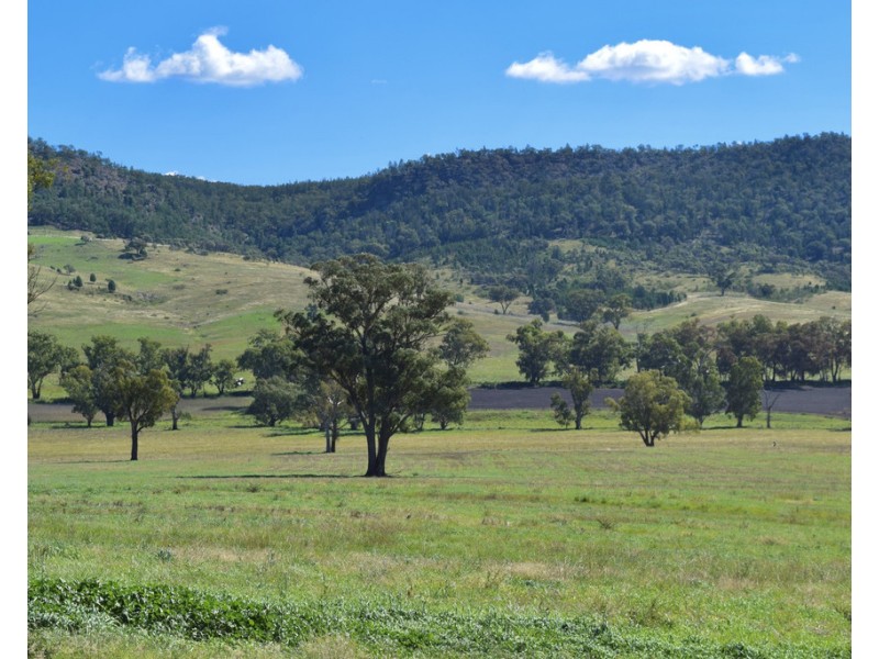 794 Reedy Creek Road ‘Oaklands’, Mandagery NSW 2870