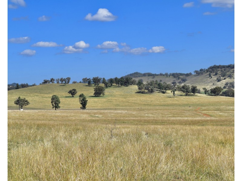 794 Reedy Creek Road ‘Oaklands’, Mandagery NSW 2870