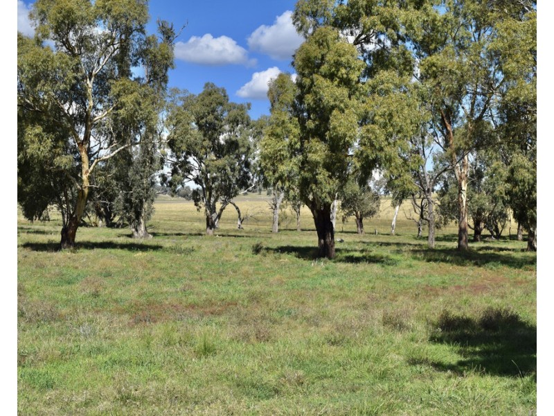 794 Reedy Creek Road ‘Oaklands’, Mandagery NSW 2870
