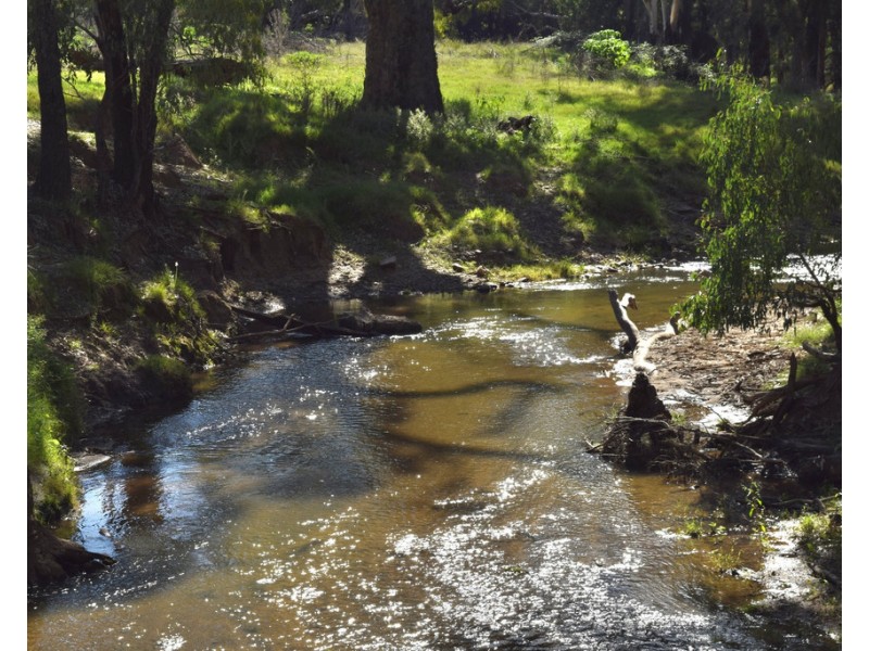 794 Reedy Creek Road ‘Oaklands’, Mandagery NSW 2870