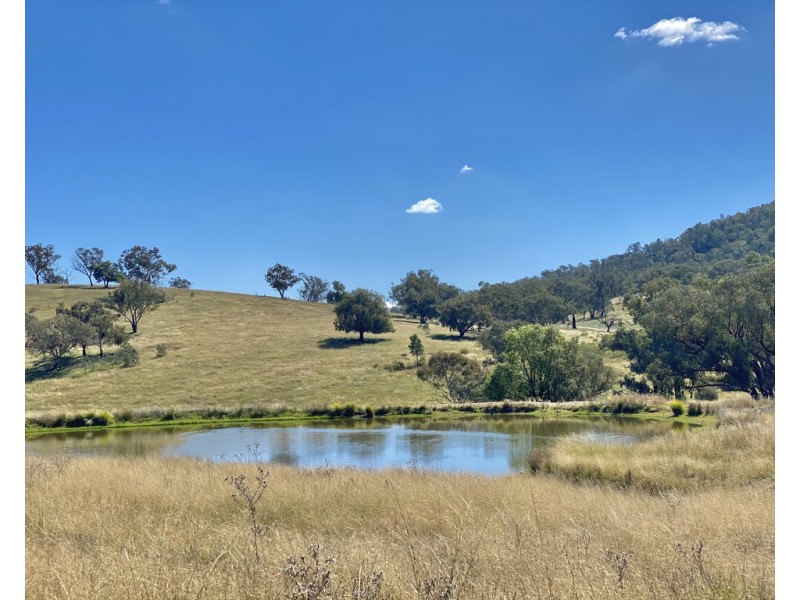 794 Reedy Creek Road ‘Oaklands’, Mandagery NSW 2870