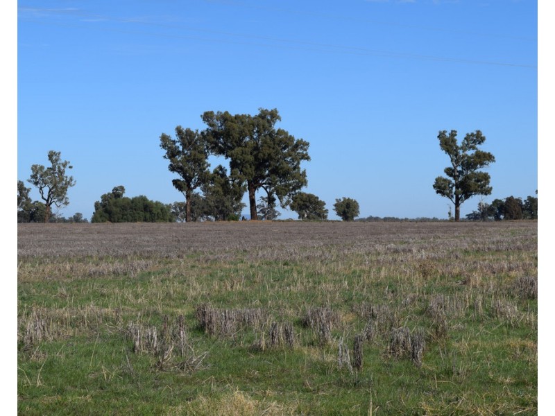 3013 Lachlan Valley Way ‘Mareetha’, Forbes NSW 2871