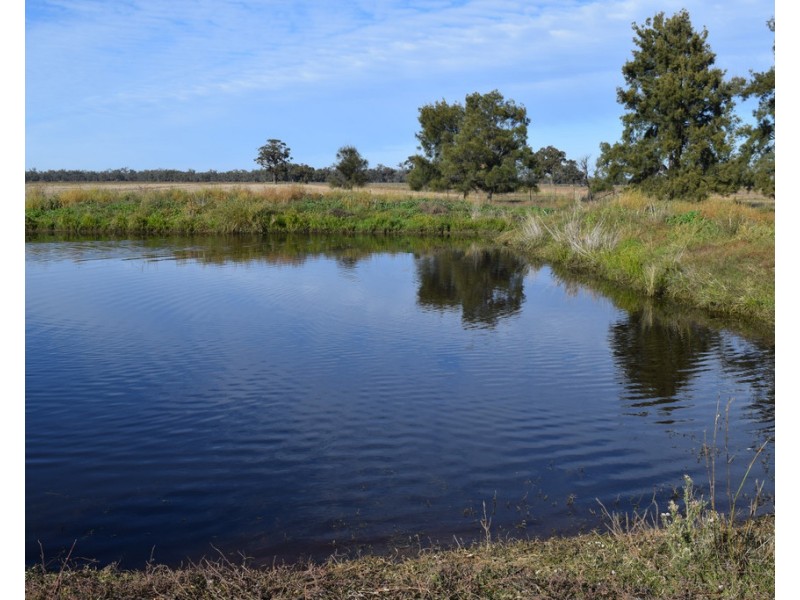 3013 Lachlan Valley Way ‘Mareetha’, Forbes NSW 2871