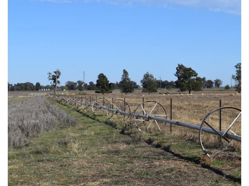 3013 Lachlan Valley Way ‘Mareetha’, Forbes NSW 2871