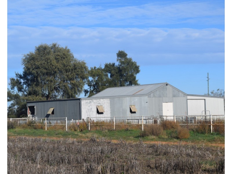 3013 Lachlan Valley Way ‘Mareetha’, Forbes NSW 2871