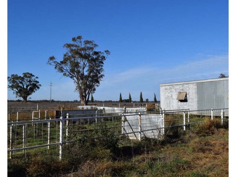 3013 Lachlan Valley Way ‘Mareetha’, Forbes NSW 2871