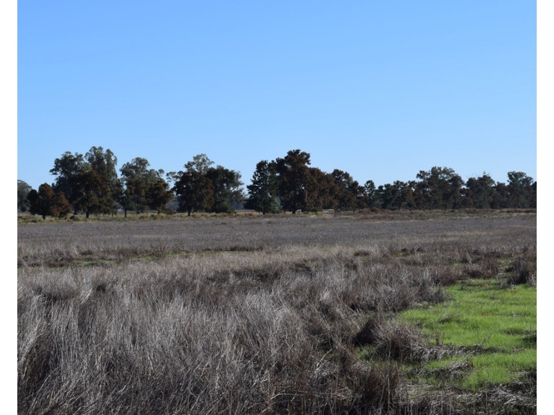 3013 Lachlan Valley Way ‘Mareetha’, Forbes NSW 2871