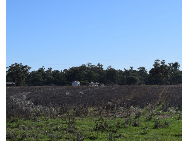 3013 Lachlan Valley Way ‘Mareetha’, Forbes NSW 2871