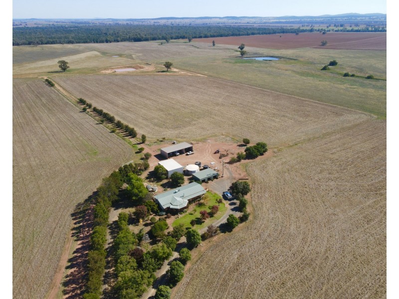 893 ” Wheogo” Deaths Lane, Grenfell NSW 2810