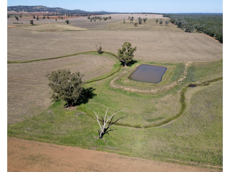 893 ” Wheogo” Deaths Lane, Grenfell NSW 2810