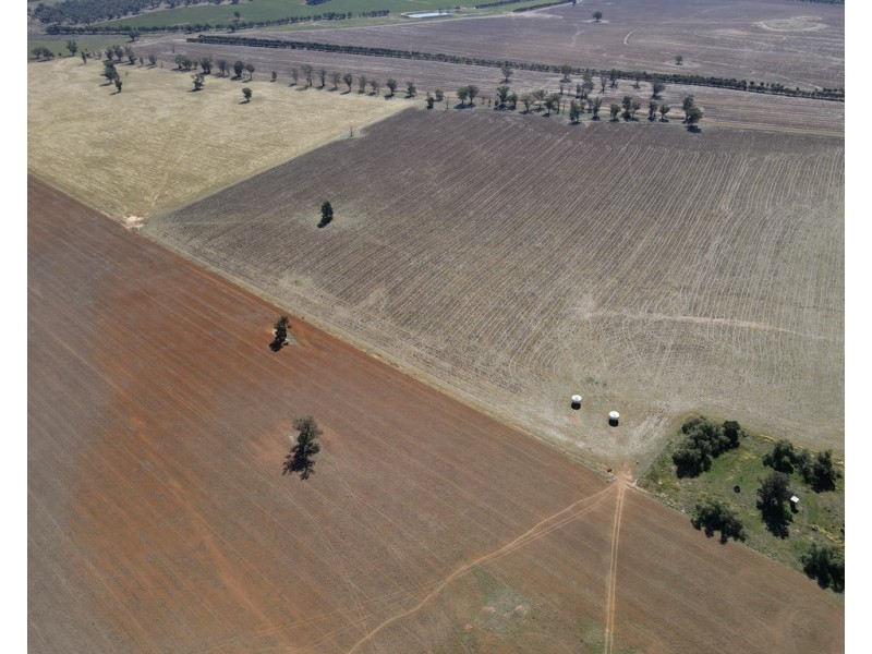 893 ” Wheogo” Deaths Lane, Grenfell NSW 2810