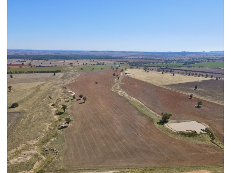 893 ” Wheogo” Deaths Lane, Grenfell NSW 2810