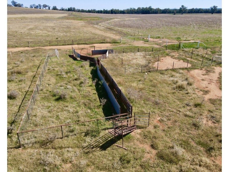893 ” Wheogo” Deaths Lane, Grenfell NSW 2810