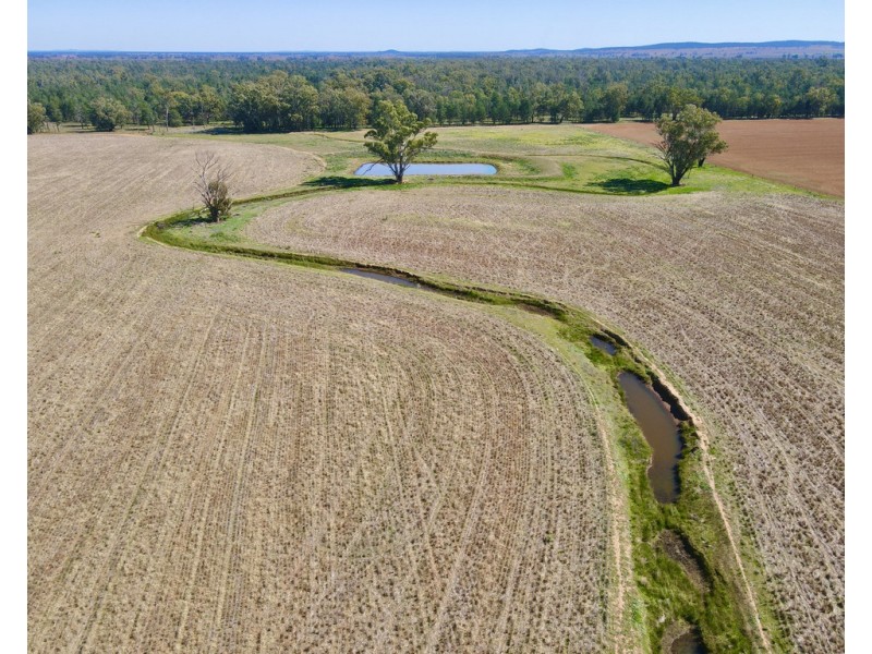 893 ” Wheogo” Deaths Lane, Grenfell NSW 2810