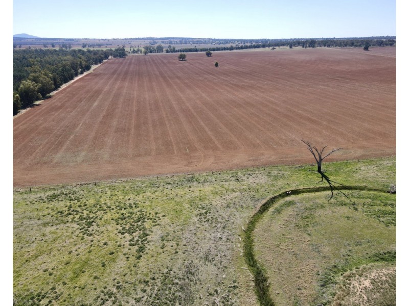 893 ” Wheogo” Deaths Lane, Grenfell NSW 2810