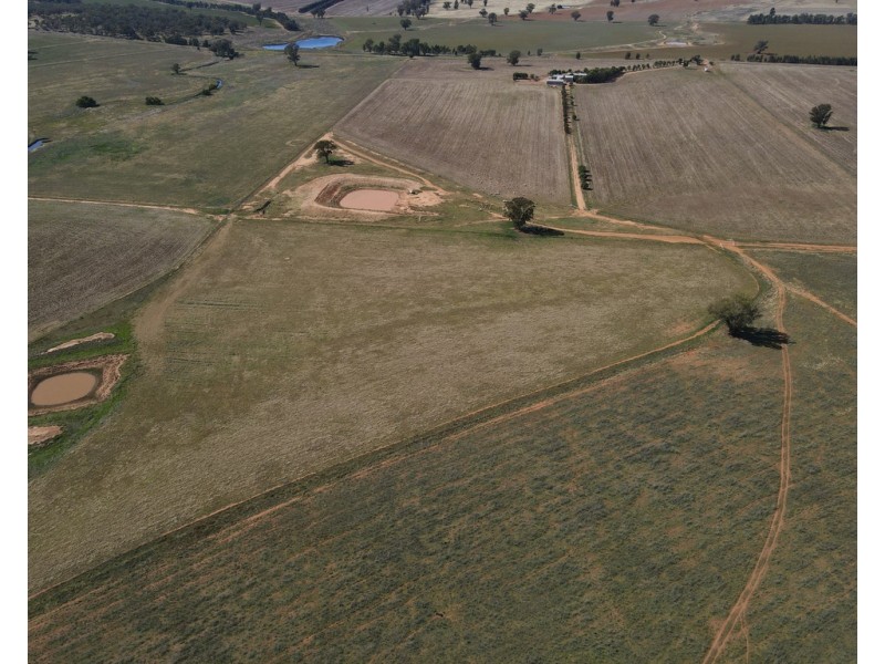 893 ” Wheogo” Deaths Lane, Grenfell NSW 2810